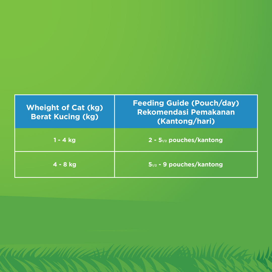 KiteKat Pouch Adult Chicken Tuna Wet Cat Food Makanan Kucing Dewasa 70gr - Image 2