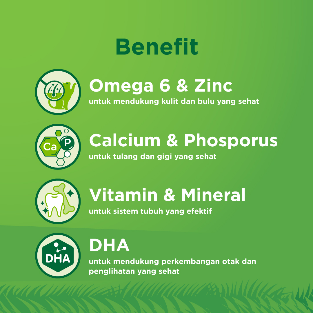 KiteKat Pouch Junior Chicken Salmon Wet Cat Food Makanan Anak Kucing 70gr - Image 3