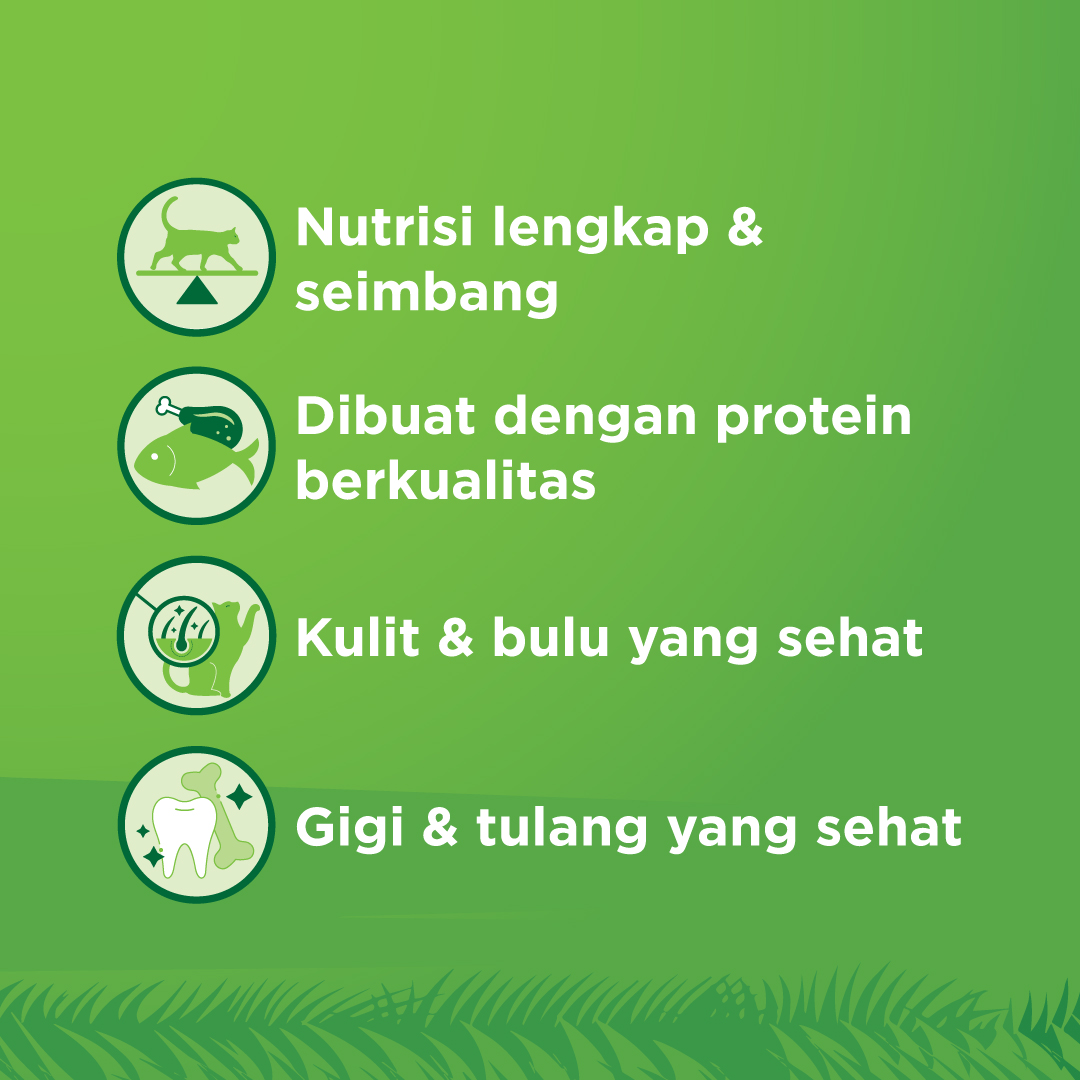 KiteKat Pouch Adult Chicken Tuna Wet Cat Food Makanan Kucing Dewasa 70gr - Image 3