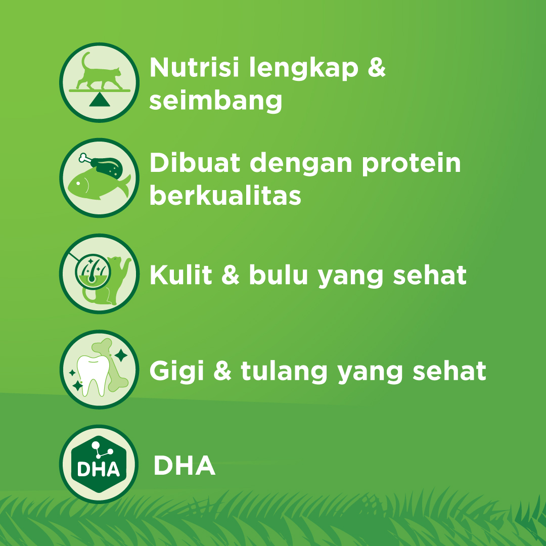 KiteKat Pouch Junior Chicken Salmon Wet Cat Food Makanan Anak Kucing 70gr - Image 5